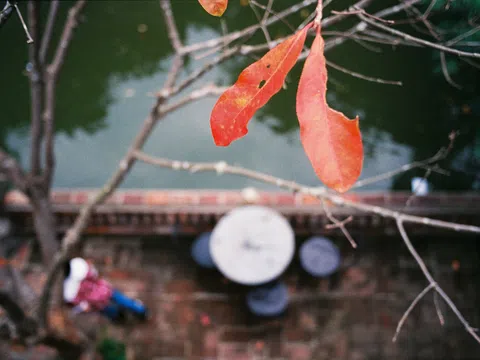 Khoảnh khắc mùa đông Hà Nội