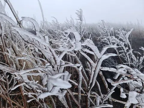 Băng giá phủ trắng Phia Oắc, Lảo Thẩn