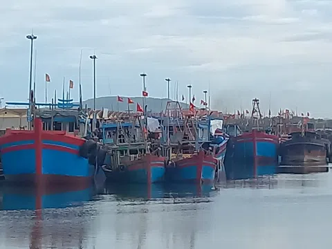 Thanh Hóa: Cần sớm tháo gỡ khó khăn giúp ngư dân tiếp tục bám biển