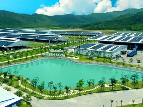 Đầu tư ESG: Thế giới đang sôi sục, nhà đầu tư Việt đã hiểu đến đâu? ESG – Xu hướng thế giới và sự “nhận diện” của nhà đầu tư Việt?