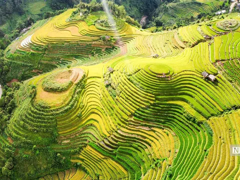 Ngắm những thửa ruộng bậc thang ở Yên Bái "thay áo mới"