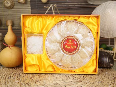 Tăng sức đề kháng, chống cúm, dịch bệnh nhờ Yến sào Hoàng Việt Nha Trang