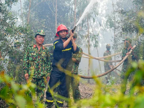 Kiên Giang: Gần 250 cán bộ chiến sỹ chữa cháy rừng tràm 2,5 tuổi ở huyện Hòn Đất