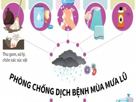 Cách phòng chống dịch bệnh nguy hiểm mùa mưa bão