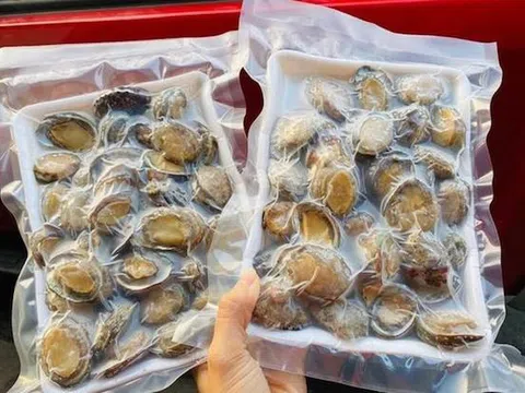 Bào ngư Trung Quốc "đội lốt" bào ngư Hàn khiến nhiều người bị lừa khi mua qua mạng