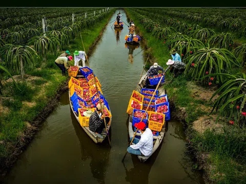 Ngây ngất với thiên nhiên và đời sống người Việt qua ảnh