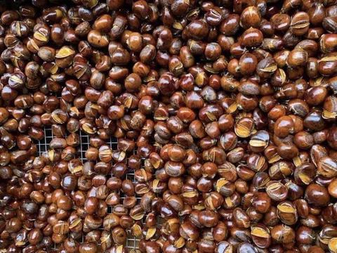 Tiết lộ chiêu "phù phép" hạt dẻ Trung Quốc của gian thương