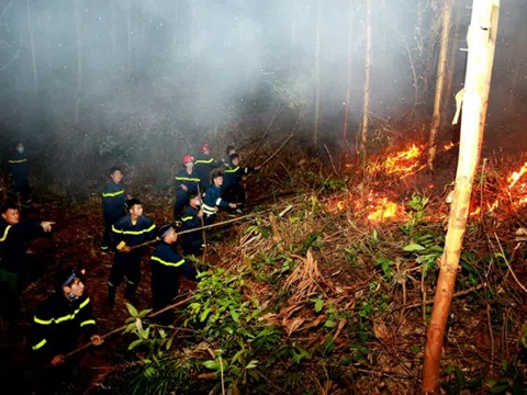 Lý do lửa lan nhanh, thiêu rụi 10 ha rừng tại Vĩnh Phúc chỉ trong 7 tiếng
