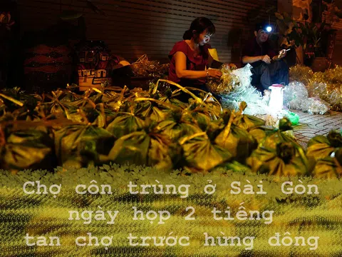 Chợ côn trùng ở Sài Gòn ngày họp 2 tiếng tan chợ trước hừng đông