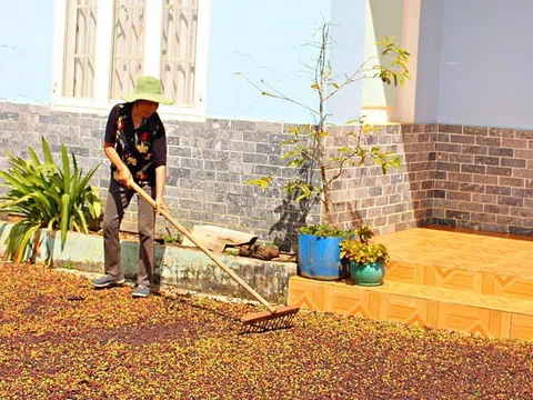 Hiến tạng con trai cứu 6 người, bà mẹ Lâm Đồng bị xa lánh