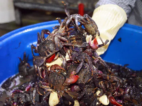 Độc đáo nghề muối ba khía - di sản văn hóa phi vật thể quốc gia