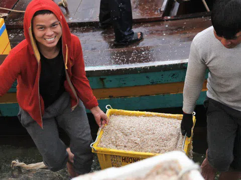 Khúc "khải hoàn ca" mừng ghe đầy ruốc