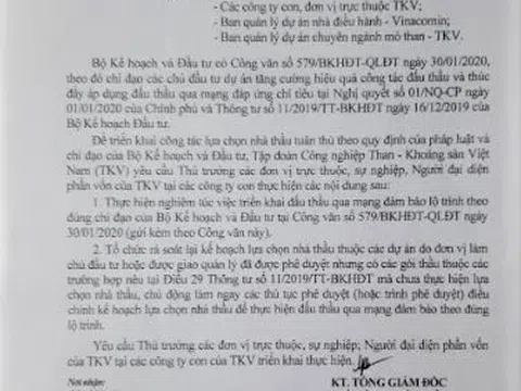 Nhiều công ty con của TKV phớt lờ quy định về đấu thầu