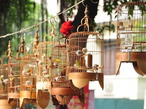 Gian nan một thú chơi tao nhã