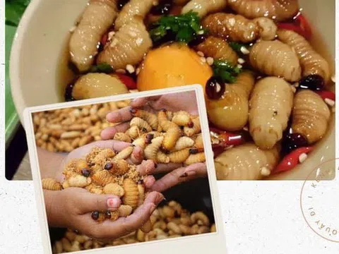 8 loại đặc sản "nhúc nhích" ở Việt Nam, ăn một lần nhớ mãi cả đời