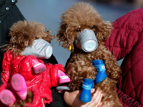 12 tháng biến động của năm 2020 qua ảnh