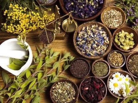 Bí quyết dưới đây để sở hữu mái tóc bóng mượt sạch gàu