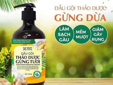 4 lý do bạn nhất định phải sử dụng dầu gội thảo dược làm sạch gàu gừng dừa hữu cơ cỏ cây hoa lá