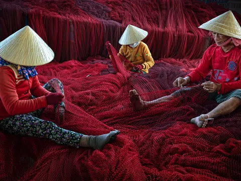 Ảnh Việt vào top ảnh tại cuộc thi Earth 2020
