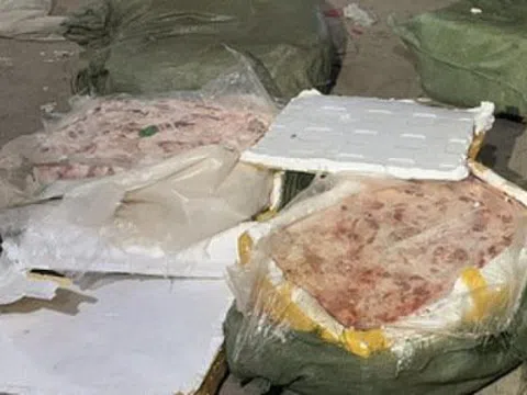 Hơn 700 kg nội tạng nhập lậu bị bắt giữ tại Quảng Ninh