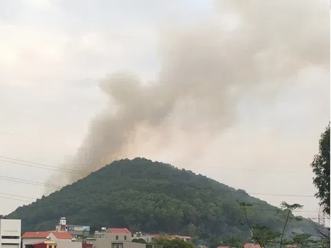 Tiên Du - Bắc Ninh: Cháy rừng tại núi Chè