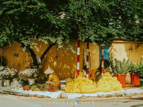 Nắng ấm về trên những nẻo phố Hà Nội