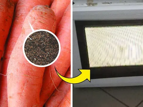 Những loại thực phẩm tuyệt đối không hâm nóng bằng lò vi sóng