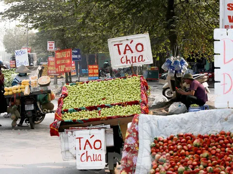 Hoa quả giá rẻ không rõ nguồn gốc bày bán ngập phố Hà Nội