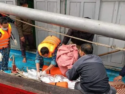 Tàu cá Nghệ An bị tàu "lạ" đâm mạnh khiến 8 người rơi xuống biển, 1 người tử vong