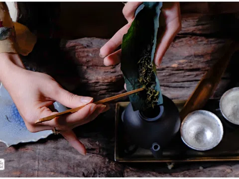 Về xứ Huế thưởng trà sen