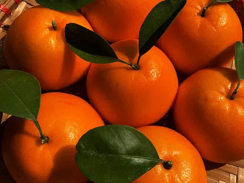 Chủ quán "hốt bạc" nhờ bánh bao quả quýt cúng rằm tháng Giêng