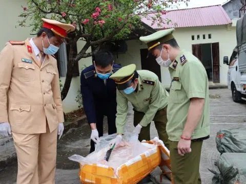 Bắt giữ 2,5 tấn nầm lợn đông lạnh không rõ nguồn gốc