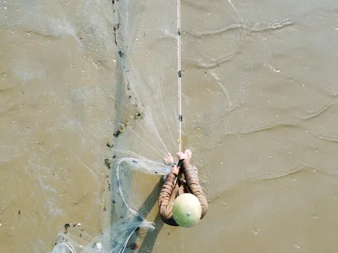 Ngư dân khoe kỹ nghệ bủa lưới có ngày thu cả tấn cá Đù