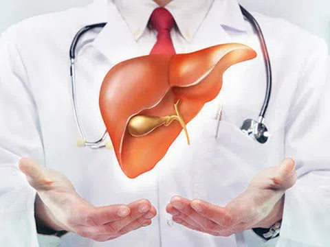 Áp dụng 3 bước này mỡ thừa trong gan sẽ được đốt cháy nhanh chóng