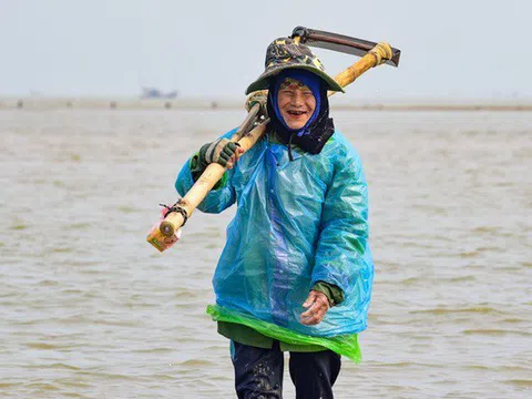 Nghề đi giật lùi nơi cửa biển của bà con xứ Thanh