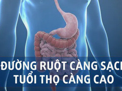 Những thực phẩm giúp làm sạch ruột già nên bổ sung vào thực đơn hằng ngày