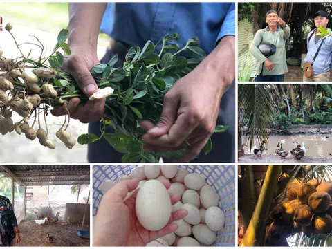 Nghe đồng bằng sông Cửu Long “kể chuyện” biến đổi khí hậu