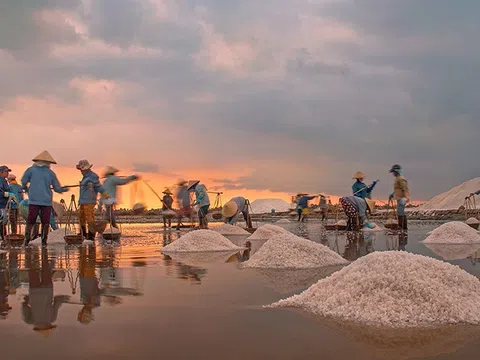 Vẻ đẹp cánh đồng muối gần Nha Trang