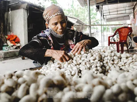 Làng tơ trăm tuổi trên đất Thành Nam