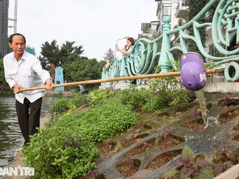 Ám ảnh rau bẩn, người Hà Nội rủ nhau trồng rau "hốc đá" quanh hồ Tây