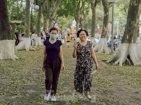 Thảm lá sấu vàng trải dài trên con phố đẹp nhất Thủ Đô