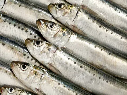 Mách bạn 7 loại thực phẩm giàu cholesterol tốt cho cơ thể