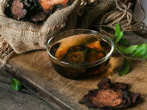 Lưu ý nguy hiểm khi tự ý chế biến Hà thủ ô để ngừa bạc tóc