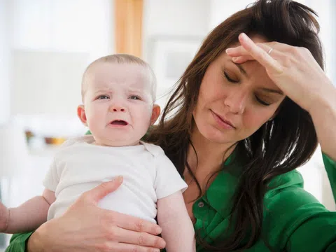 Bí quyết ngừa bạc tóc sau sinh cho chị em từ dầu gội hà thủ ô