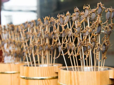 10 món ăn kỳ lạ nhất định phải thử khi du lịch đến Thái Lan