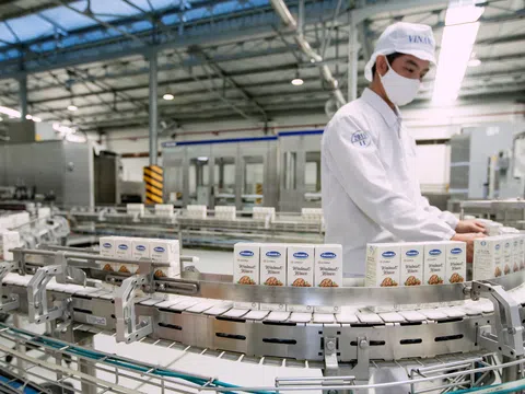 Sở hữu hệ thống nhà máy thuộc hàng khủng, Vinamilk nhiều năm liền dẫn đầu ở nhiều ngành hàng lớn