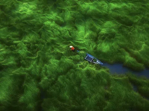 Việt Nam trong loạt ảnh chụp trên cao đạt giải quốc tế