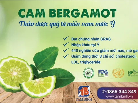 Đột phá mới giúp đẩy lùi bệnh mỡ máu cao từ chiết xuất Cam Địa Trung Hải