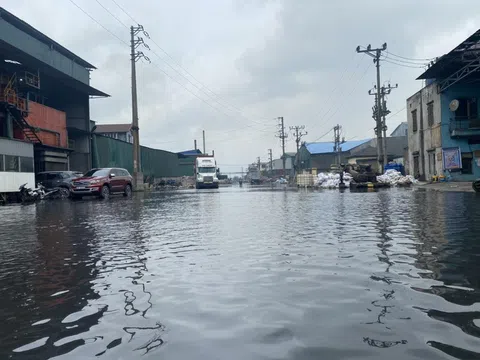 Bắc Ninh: Nhiều doanh nghiệp bị đình chỉ do vi phạm nghiêm trọng về môi trường