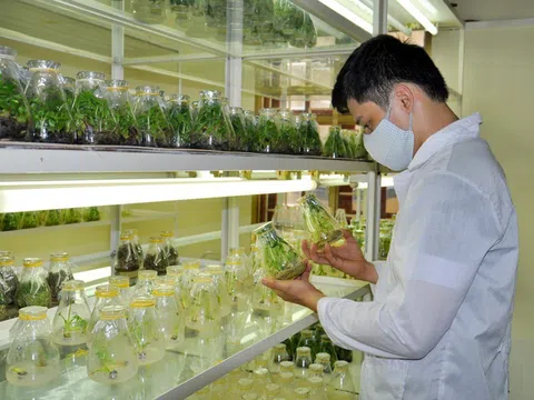 Nông nghiệp công nghệ - cần đột phá để đi xa